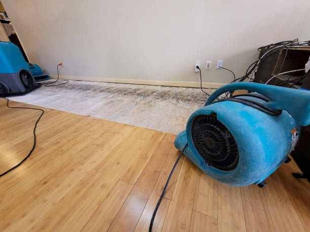 Professional Structural Drying technician working in Waynesboro, GA